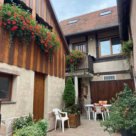 Appartments Rue Des Chateaux Ottrott