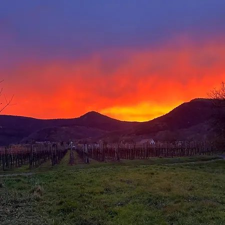 Appartments Rue Des Chateaux *